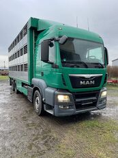 camion bétaillère MAN TGS 26.440 Tiertransporter