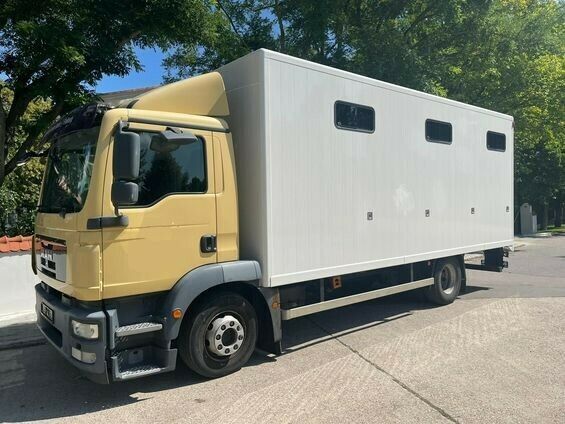 camion chevaux MAN Pferdetransporter