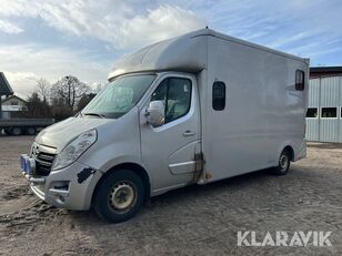 camion chevaux Opel Movano
